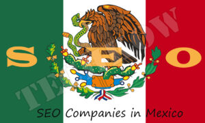 SEO-Companies-in-Mexico