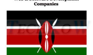 Web-and-Software-Development-Companies-Kenya