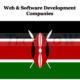 Web-and-Software-Development-Companies-Kenya