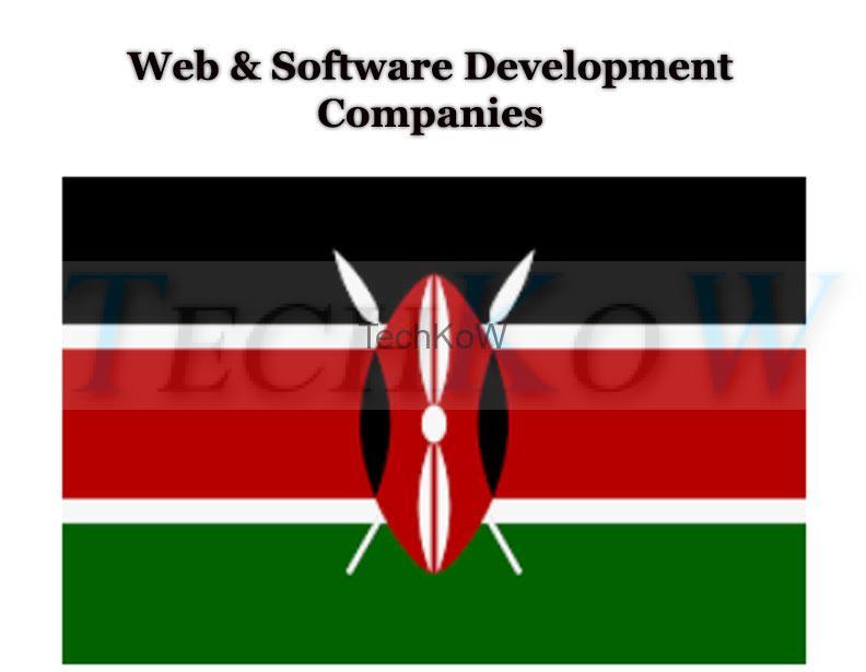 Web-und-Software-Entwicklungsunternehmen-Kenia